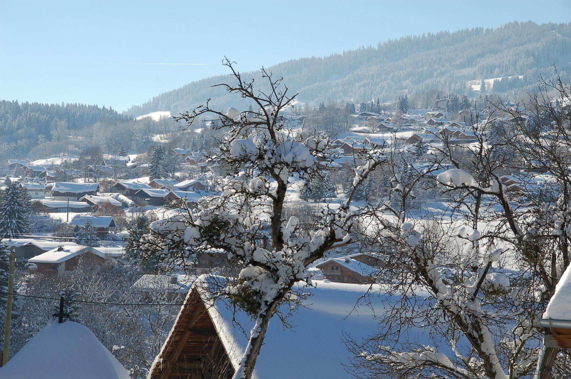 Hotel Le Caprice Des Neiges Combloux Eksteriør billede