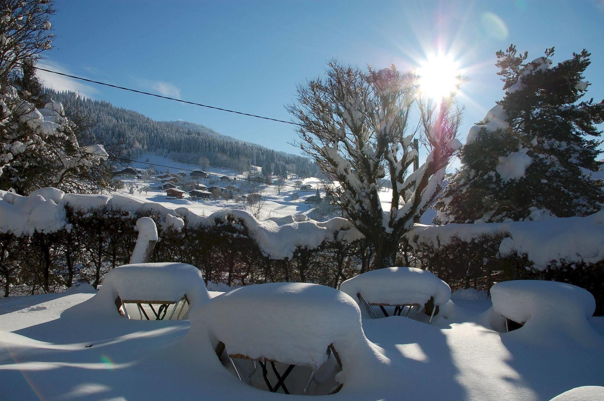 Hotel Le Caprice Des Neiges Combloux Eksteriør billede